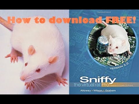 sniffy the virtual rat free